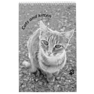 Cats and kitten calendar
