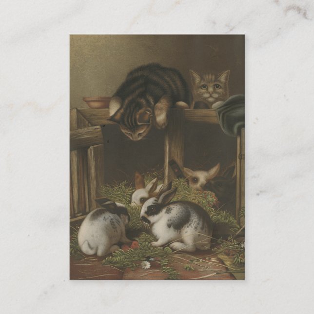 Cats and Rabbits Business Card (Front)