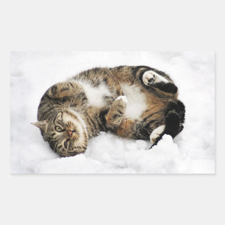 cats_and_snow_ (5) cute pets animals kittens funny sticker