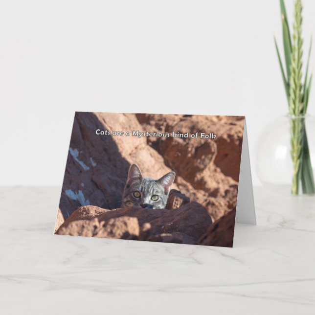 Cats are a mysterious kind of folk notecard (Front)