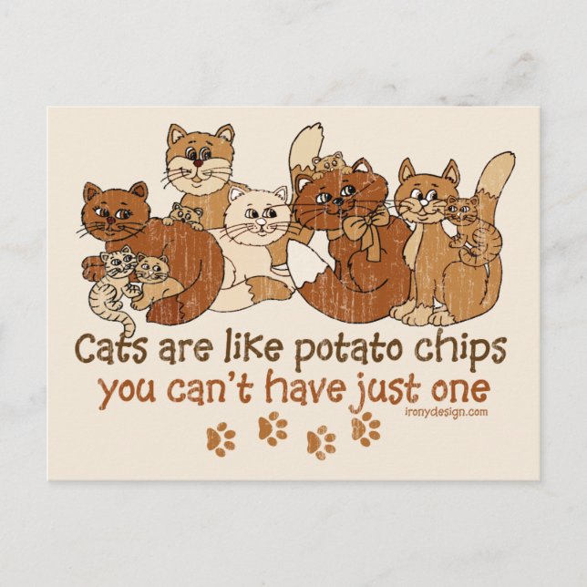 Cats are like potato chips postcard (Front)