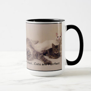 cats are purrfect mug