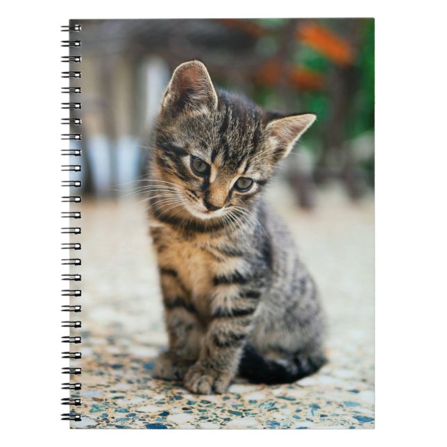 Cats Are The Best 33 Notebook (Front)
