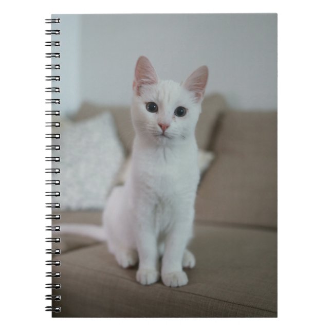 Cats Are The Best 42 Notebook (Front)
