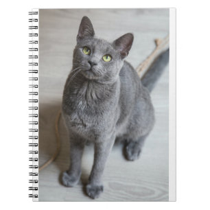 Cats Are The Best 57 Notebook
