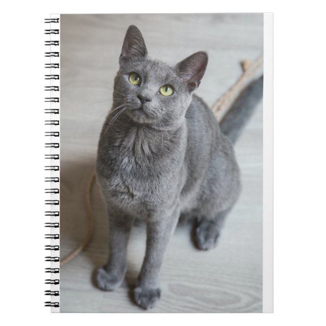 Cats Are The Best 57 Notebook (Front)
