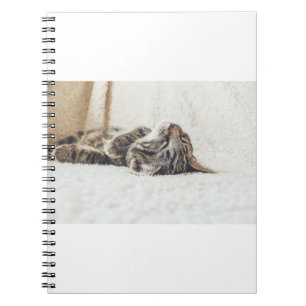 Cats Are The Best 88 Notebook