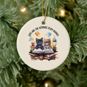 Cats Are The Ultimate Study Buddies Ceramic Ornament