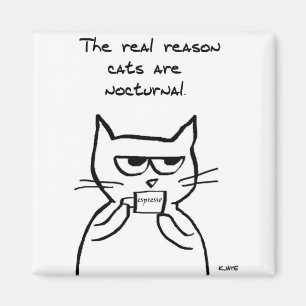 Cats Are Up All Night - Funny Cat Magnet