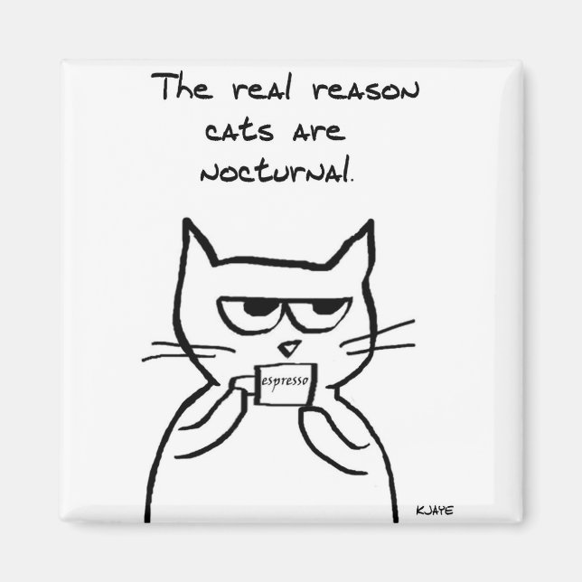 Cats Are Up All Night - Funny Cat Magnet (Front)