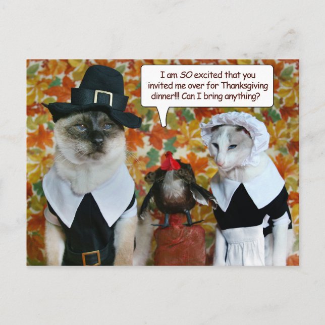 Cats as Pilgrims with Turkey Thanksgiving Card (Front)