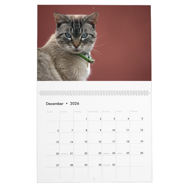 Cats Calendar (Dec 2026)