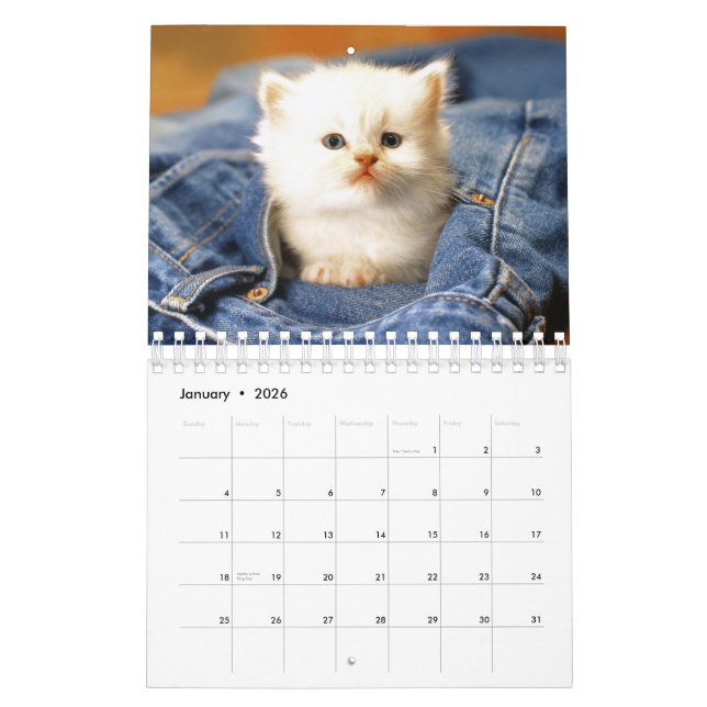 Cats Calendar 2012 (Jan 2026)