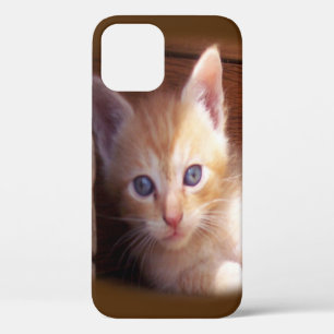 Cats iPhone 12 Case