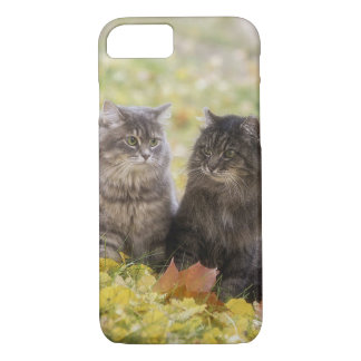Cats Case-Mate iPhone Case