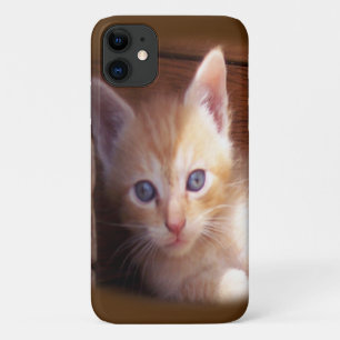 Cats iPhone 11 Case