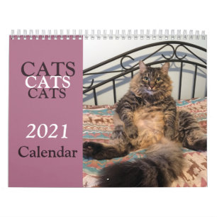 Cats Cats Cats Calendrier des chats