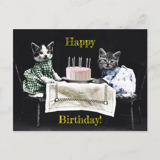 Cats celebrating a birthday with cake and candles postcard (Front)
