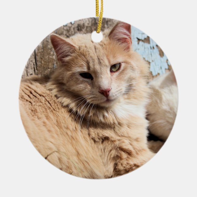 Cats Ceramic Ornament (Front)