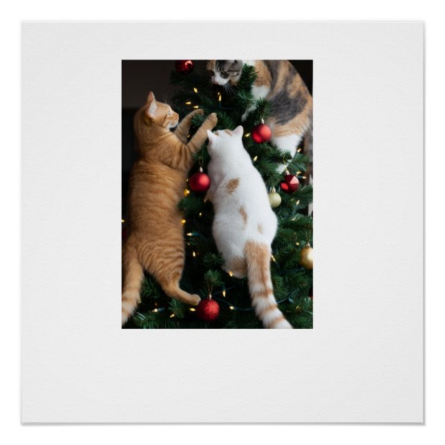 Cats Climbing In Christmas Tree  Poster (Front)