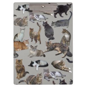 Cats Clipboard