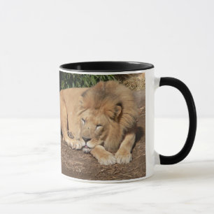 Cats Coffee Mug