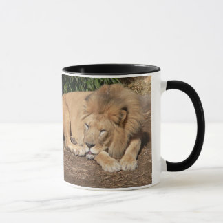 Cats Coffee Mug