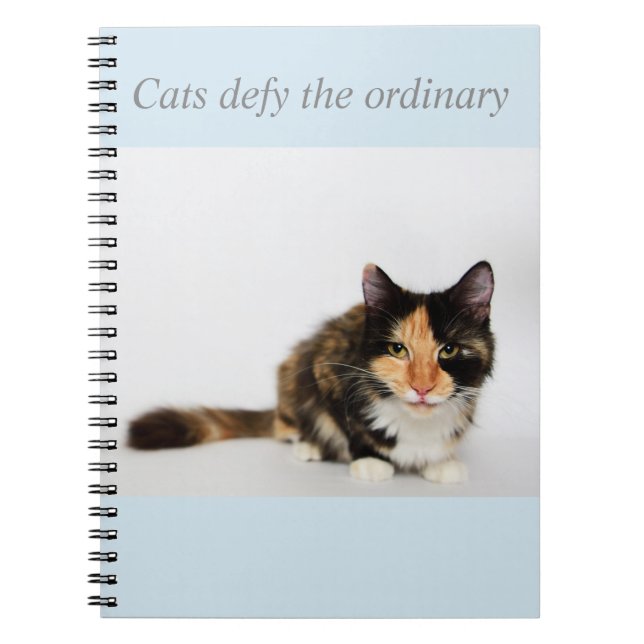 "Cats defy the ordinary" Phoebe Notebook (Front)