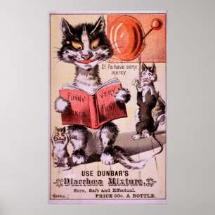 Cats Diarrhoea Mixture Poster
