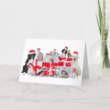 Cats & Dogs & Pets - Christmas Card