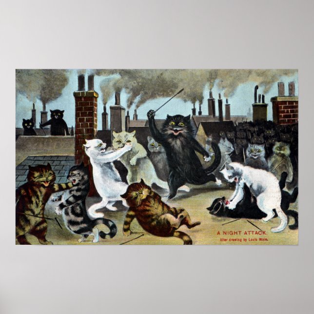 Cats Duke It Out on a Rooftop Poster (Front)