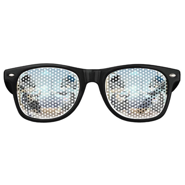 Cats & Eiffel Tower – Paris Fun Sunglasses (Var) (Front)