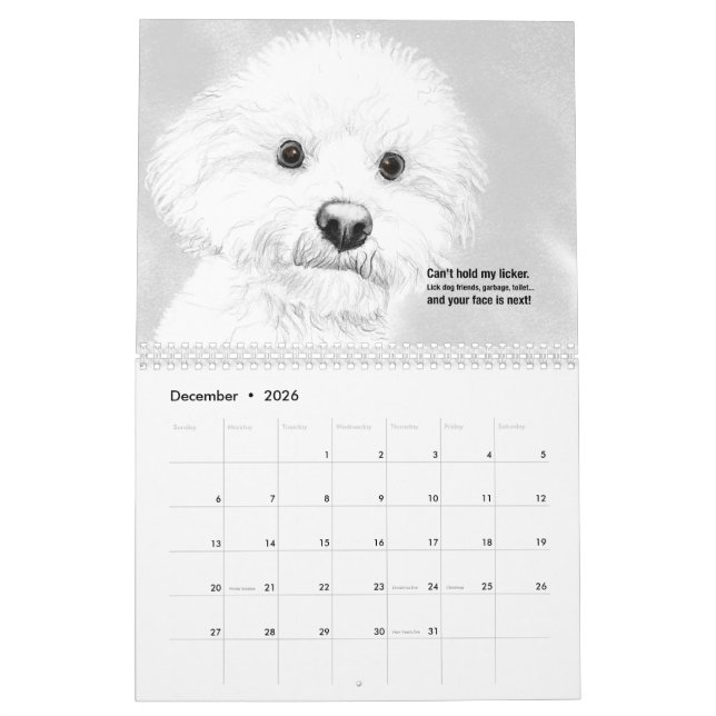 Cats et chiens 2021 Calendrier Haiku (Dec 2026)