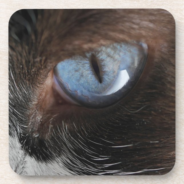 Cat's Eye.JPG Coaster (Front)