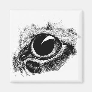 Cats Eye Vintage Drawing Animal art Illustration Magnet