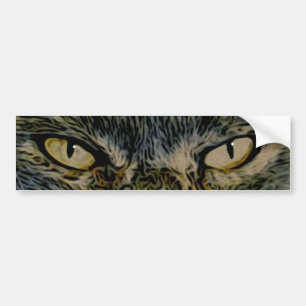 Cat's Eyes Bumper Sticker