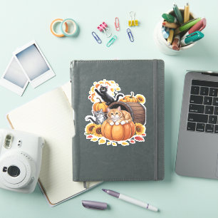 Cats Fall Autumn Pumpkins Thanksgiving Sunflower C