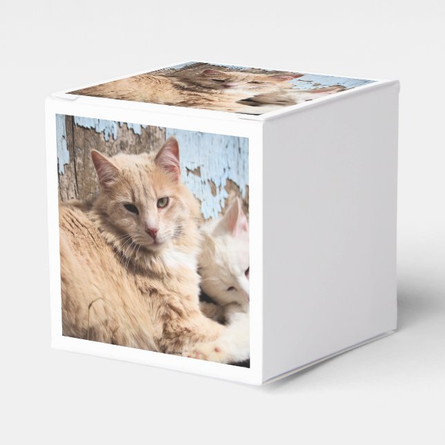 Cats Favor Box (Front Side)