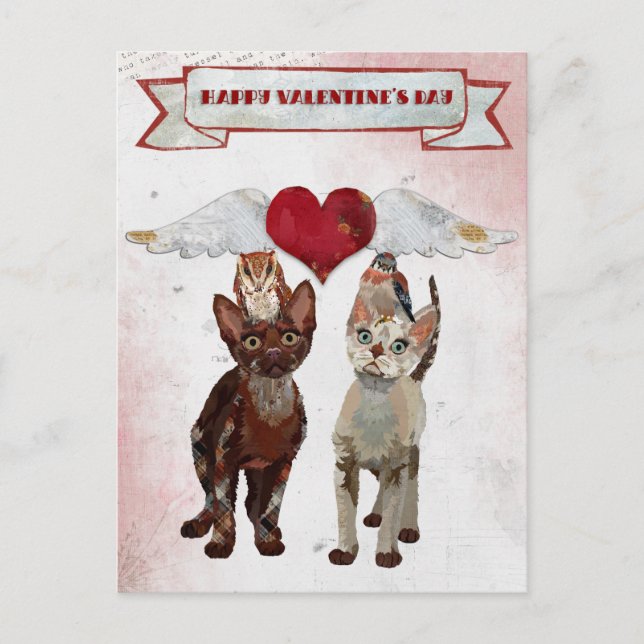 CATS & FEATHERS VALENTINE'S Postcard (Front)