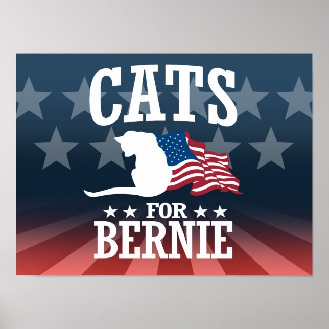 CATS FOR BERNIE SANDERS POSTER (Front)