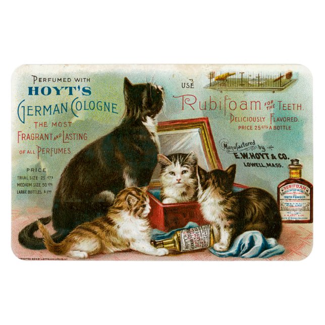 Cats for Hoyt's Magnet (Horizontal)