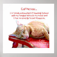 Cats for Nursing Students - Exhaustion