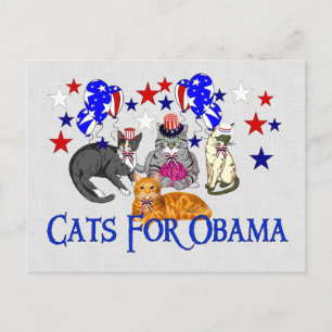CATS FOR OBAMA POSTCARD