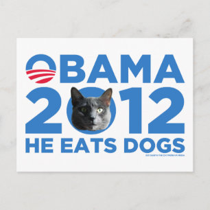Cats For Obama Postcard