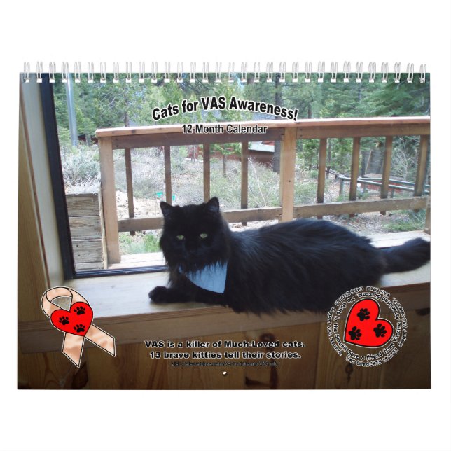Cats for VAS Awareness! Calendar (Cover)