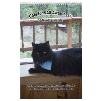 Cats for VAS Awareness! (Vertical) Calendar