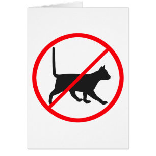 Cats Forbidden!