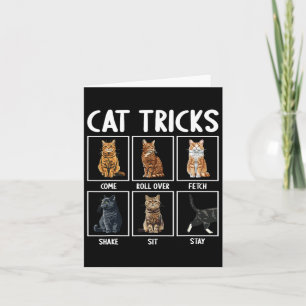 Cats Funny Cat Tricks Card