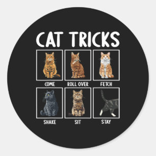 Cats Funny Cat Tricks Classic Round Sticker