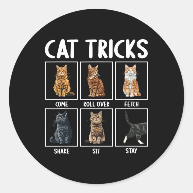 Cats Funny Cat Tricks  Classic Round Sticker (Front)
